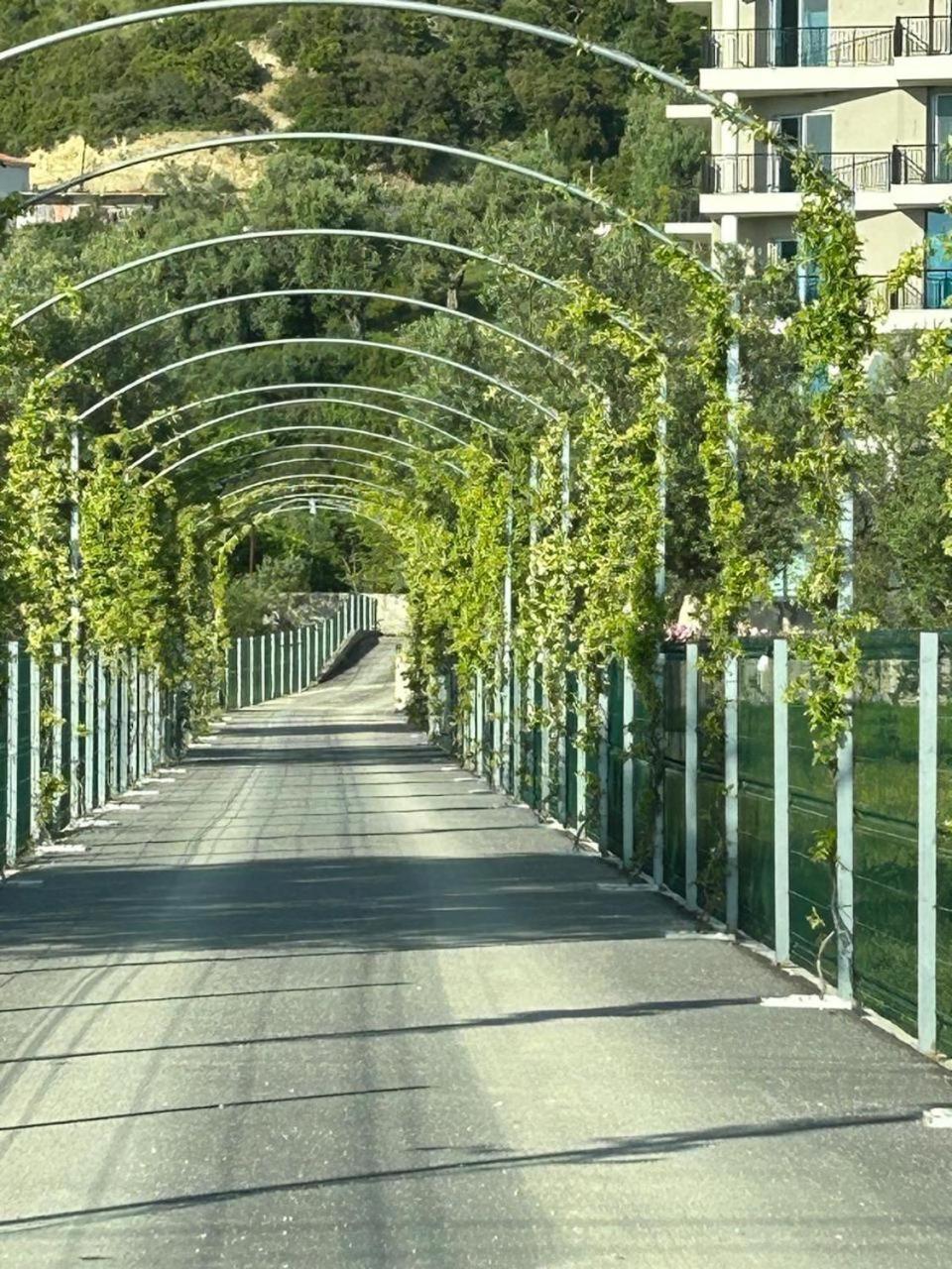 Hotel Borshi Kültér fotó